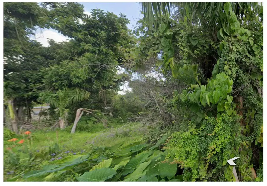 1116 7th Way, North Fort Myers, FL 33903 - #3