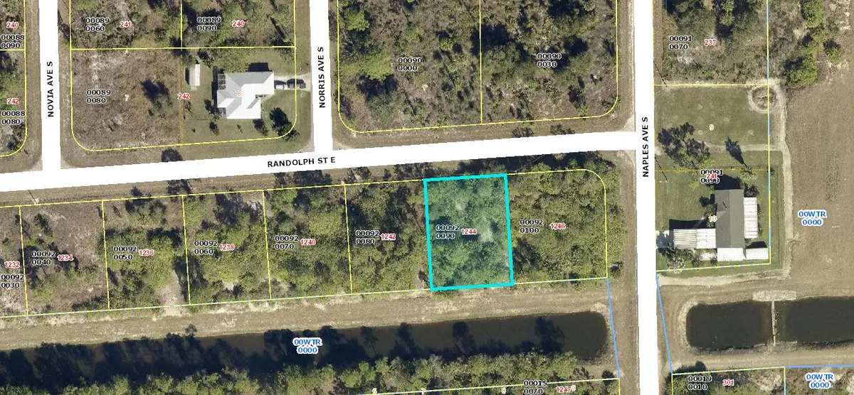 1244 Randolph Street, Lehigh Acres, FL 33974 - #1