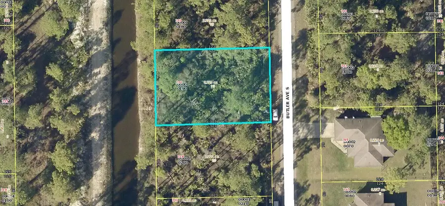 312 Butler Avenue S, Lehigh Acres, FL 33974 - #3