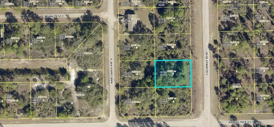 224 Columbus Boulevard, Lehigh Acres, FL 33974 - #2