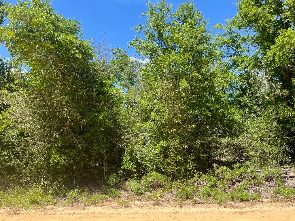 0 Hocking Street, Alford, FL 32420 - #1