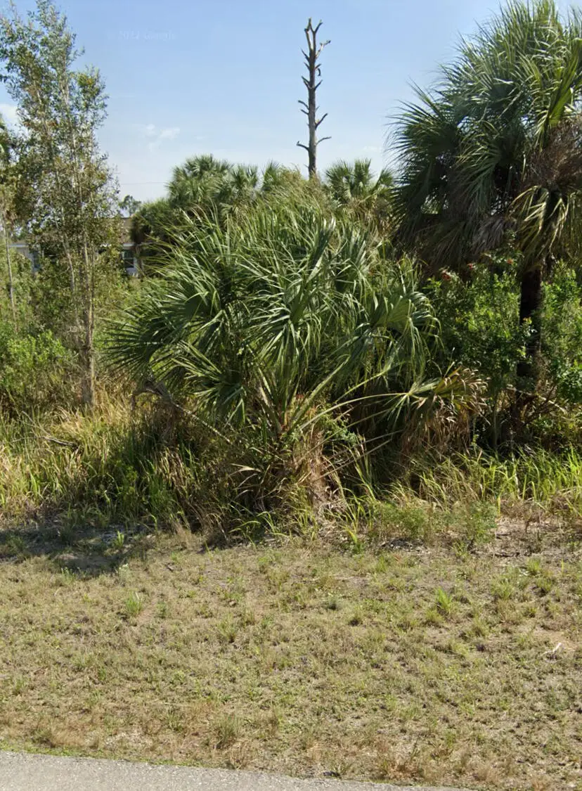 2807 W 24th Street W, Lehigh Acres, FL 33971 - #3