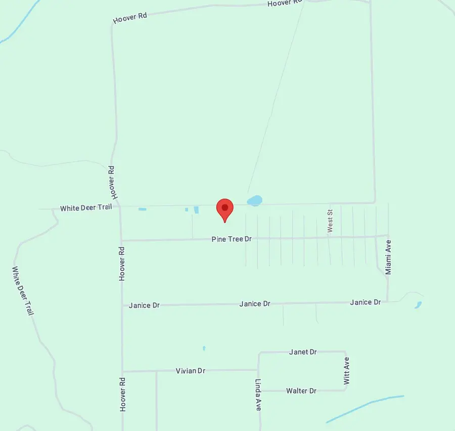 138 Pine Tree Drive, Palatka, FL 32177 - #3