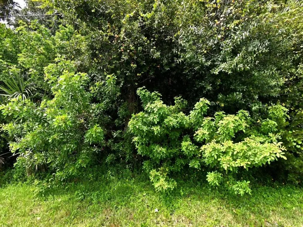 00 Maravilla Boulevard, Fort Pierce, FL 34982 - #1