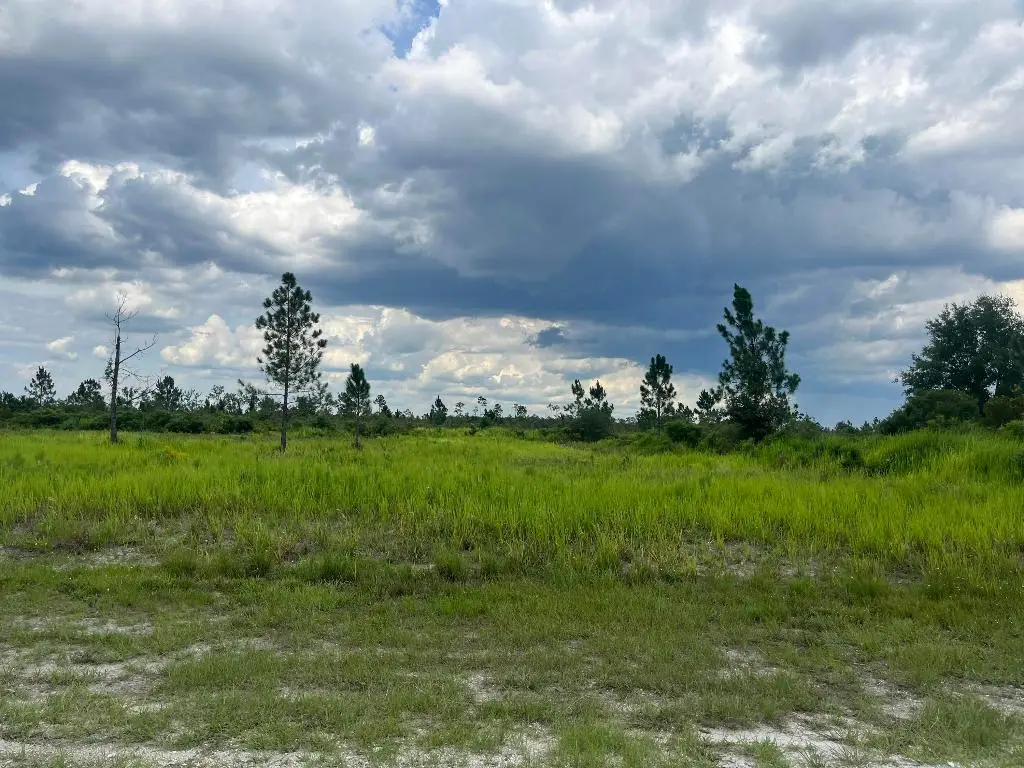 0 Pinnata Drive, Lake Wales, FL 33898 - #1