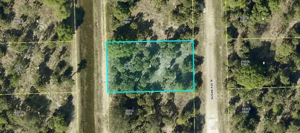 5903 Susan Avenue N, Lehigh Acres, FL 33971