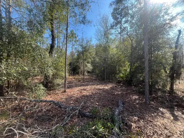 6291 Drake Avenue, Keystone Heights, FL 32656