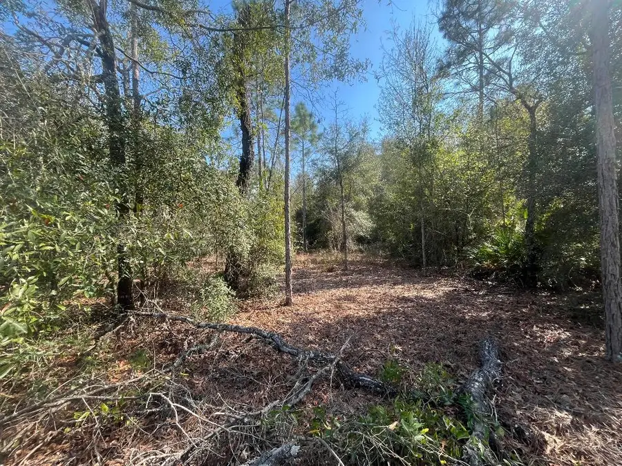 6291 Drake Avenue, Keystone Heights, FL 32656 - #2