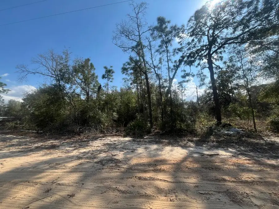 6291 Drake Avenue, Keystone Heights, FL 32656 - #3