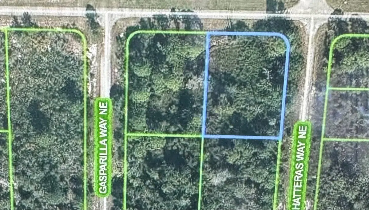 941 Island Parkway Ne, Lake Placid, FL 33852 - #1