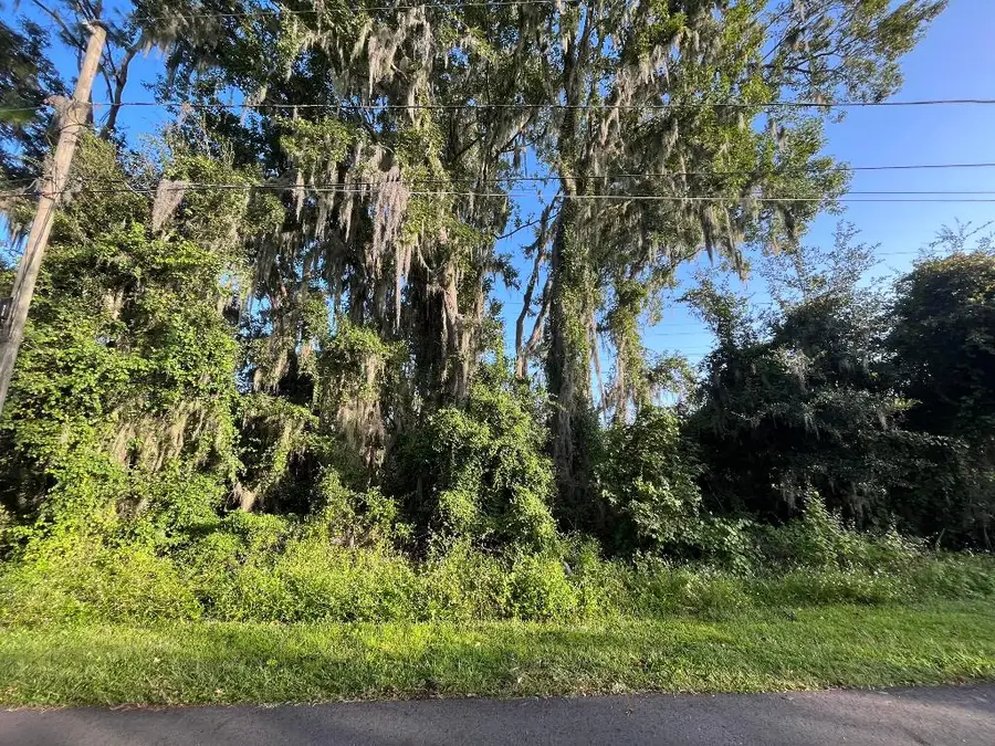 262 Toms Road, Debary, FL 32713 - #2