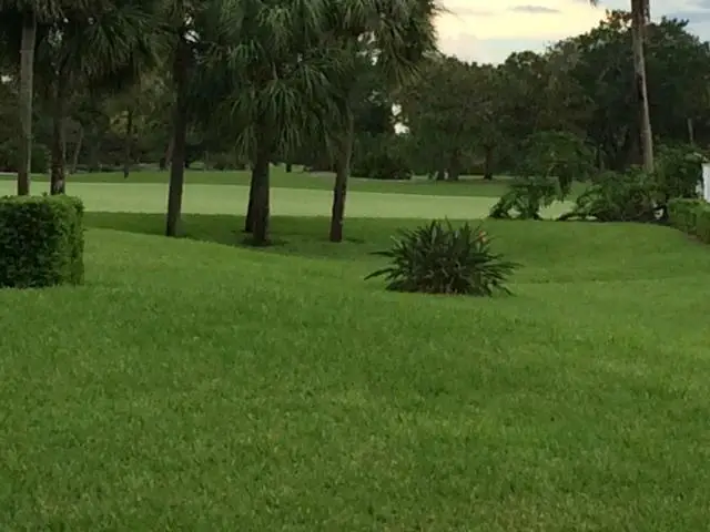 #3