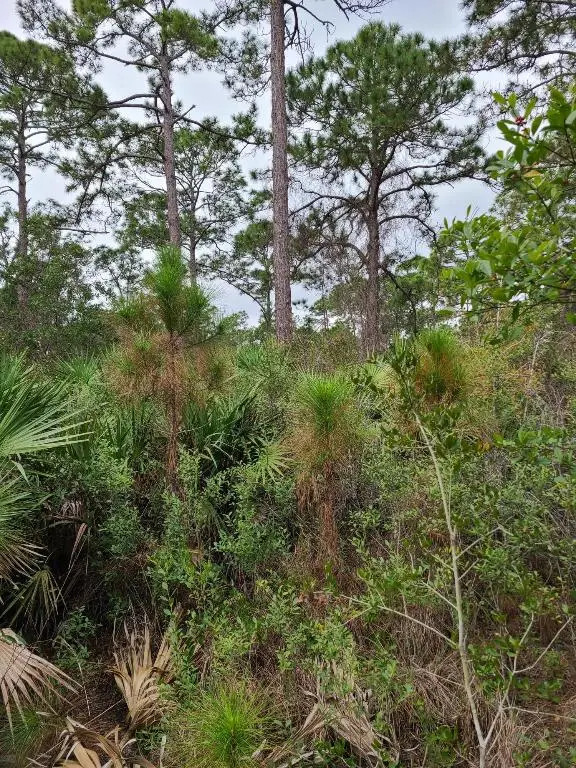 5375 69th Street, Vero Beach, FL 32967 - #2