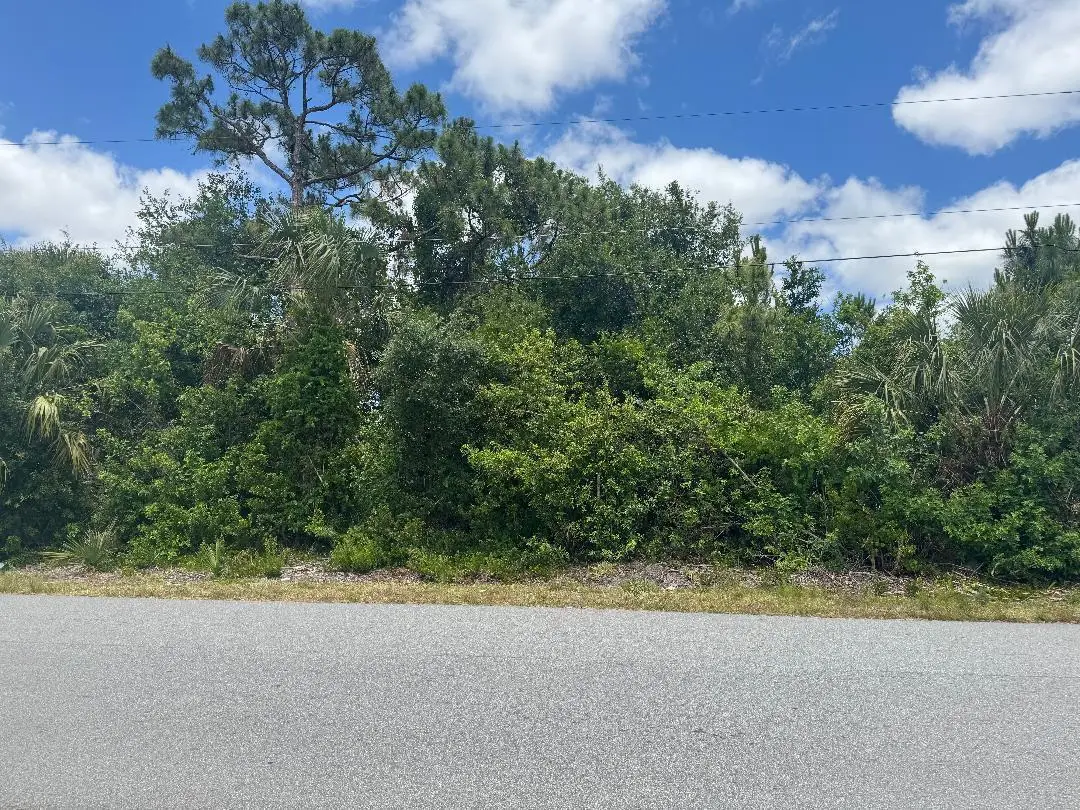 1437 Tidewell Street Se, Palm Bay, FL 32909 - #1