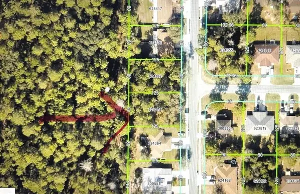 3463 Jason Road, Spring Hill, FL 34608