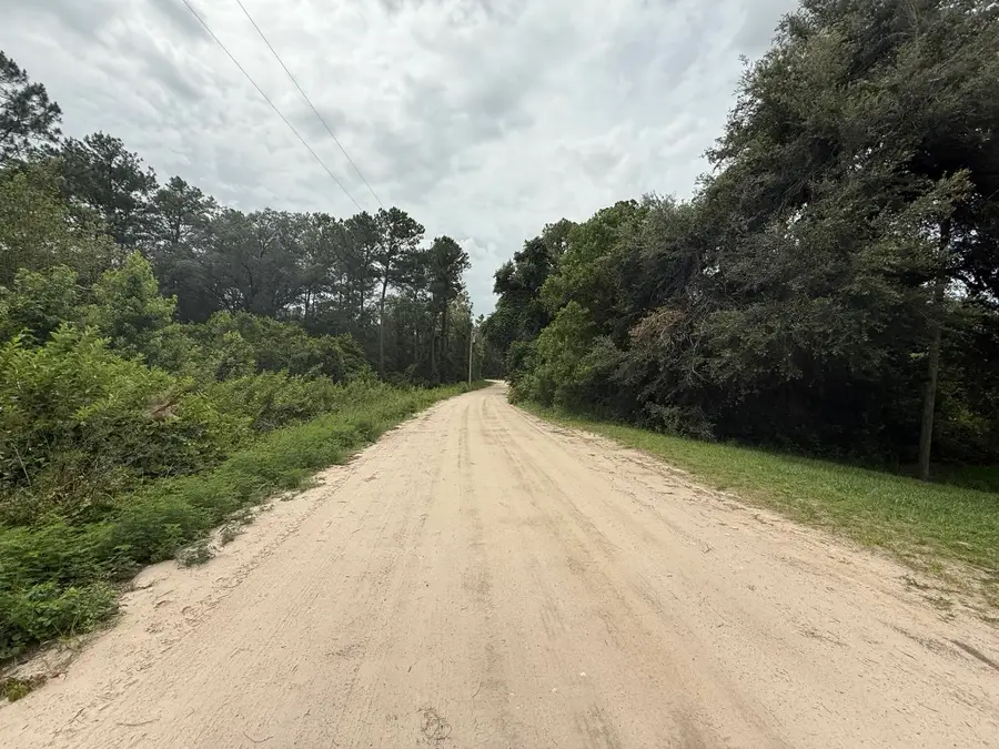 129 Fishermans Drive, Interlachen, FL 32148 - #3