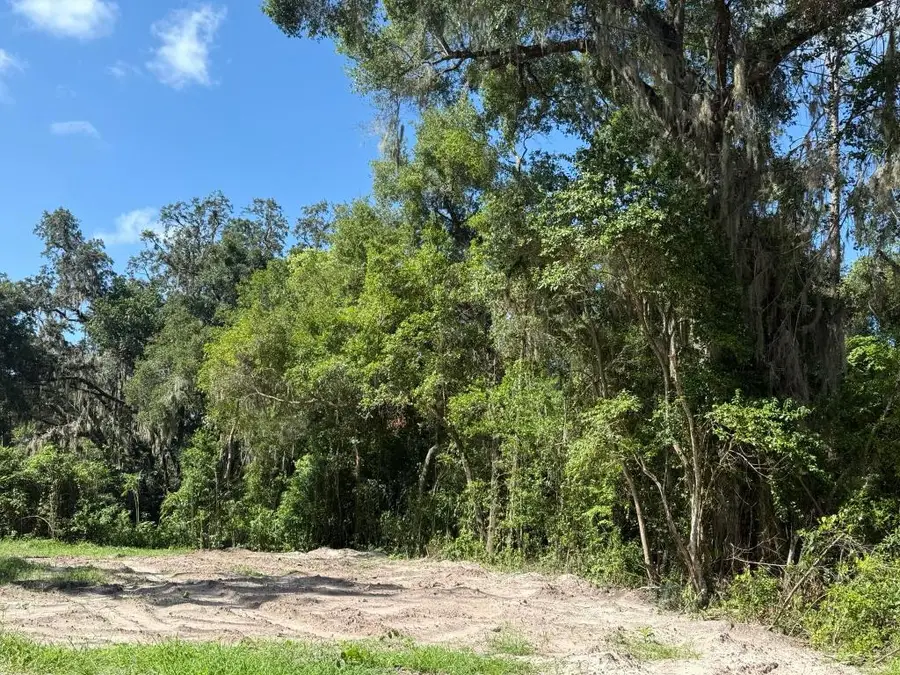 115 Roddy Lane, Palatka, FL 32177 - #2