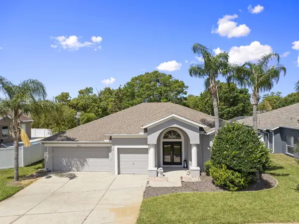 4205 Mast Court, Land O Lakes, FL 34639