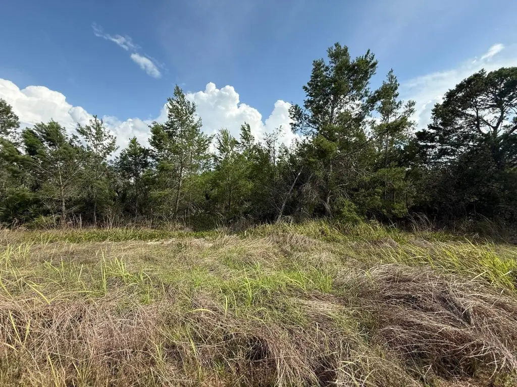 2921 W Seville Drive, Avon Park, FL 33825 - #1