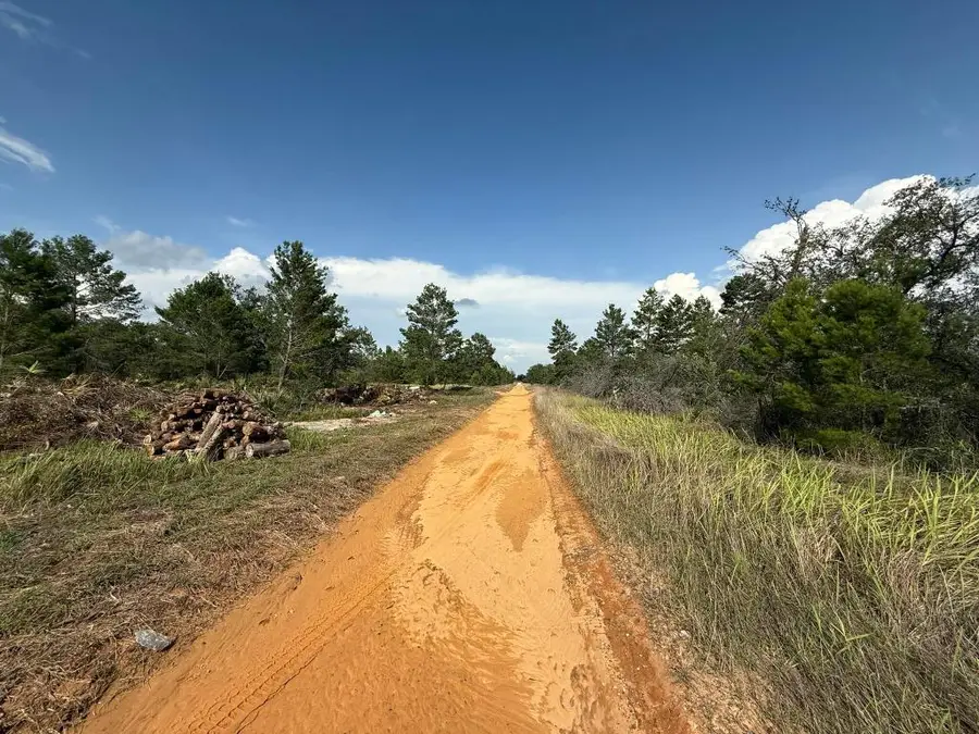 2921 W Seville Drive, Avon Park, FL 33825 - #3