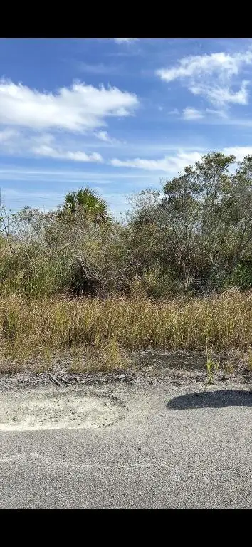 2995 Ell Place Sw, Palm Bay, FL 32908 - #1