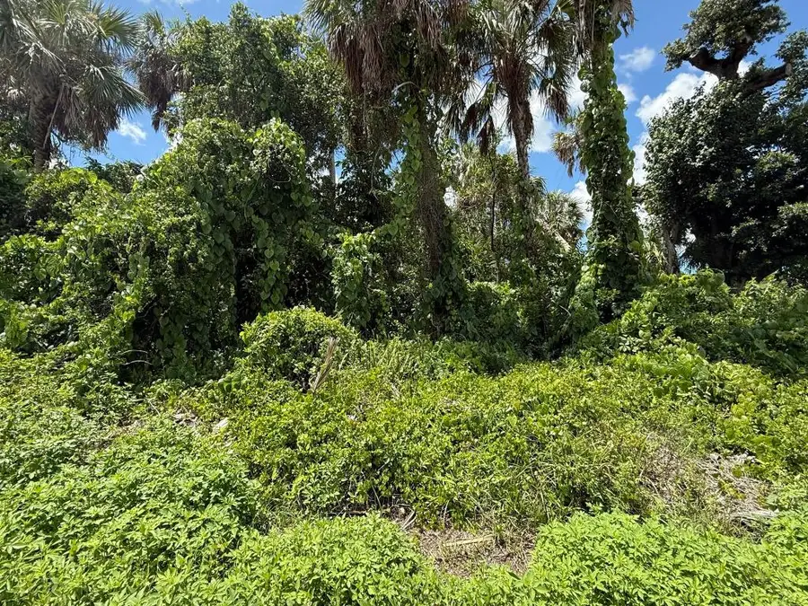 16459 Bauers Avenue, Port Charlotte, FL 33954 - #3