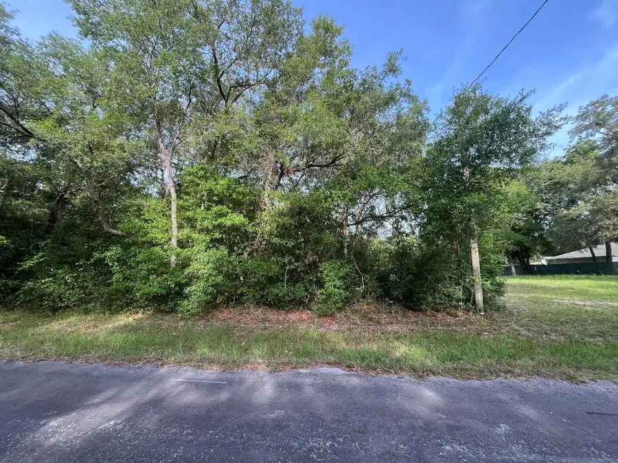 6634 N Pagoda Tree Terrace, Hernando, FL 34442 - #3