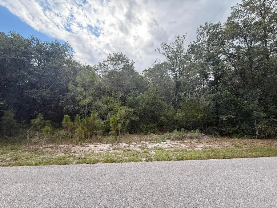 1012 Wildflower Street, Lake Placid, FL 33852 - #2