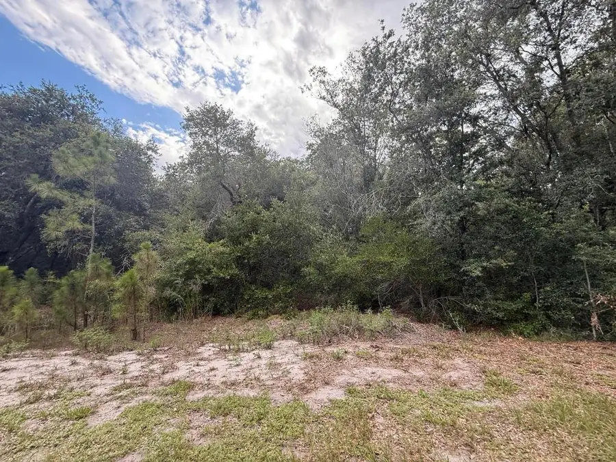 1012 Wildflower Street, Lake Placid, FL 33852 - #3