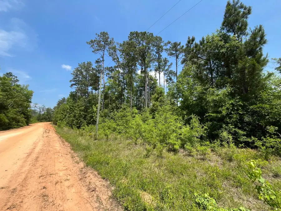 Tbd Grand Quiviera Circle, Alford, FL 32420 - #2