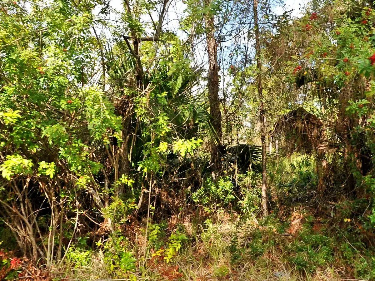 0 Haffenberg Ave Avenue, North Port, FL 34288 - #1