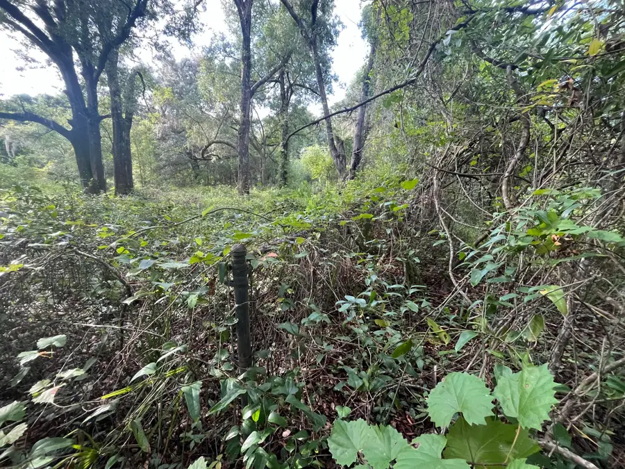 305 Milton Avenue, Interlachen, FL 32148 - #3