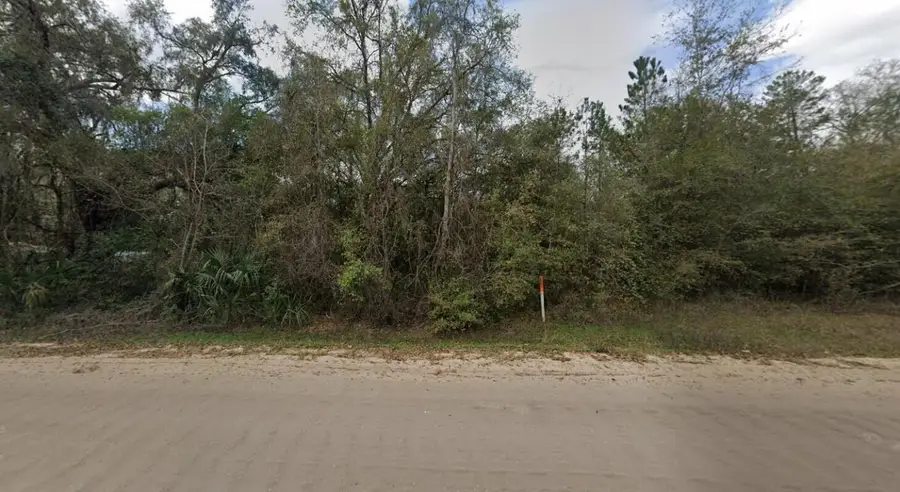 915 Annette Avenue, Interlachen, FL 32148 - #3