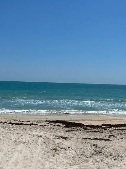 #3