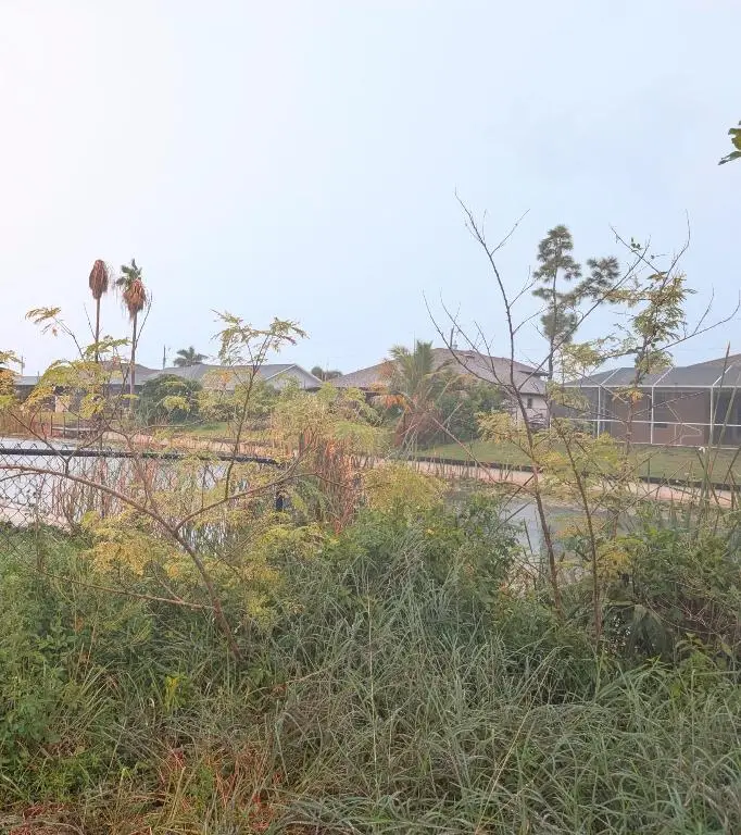 1422 SW 15th Street, Cape Coral, FL 33991 - #3