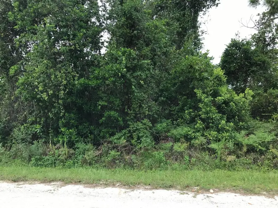 1126 Greenfield Street, Lake Placid, FL 33852 - #2