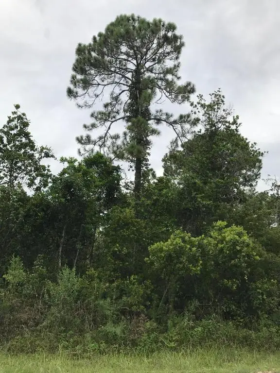 1126 Greenfield Street, Lake Placid, FL 33852 - #3