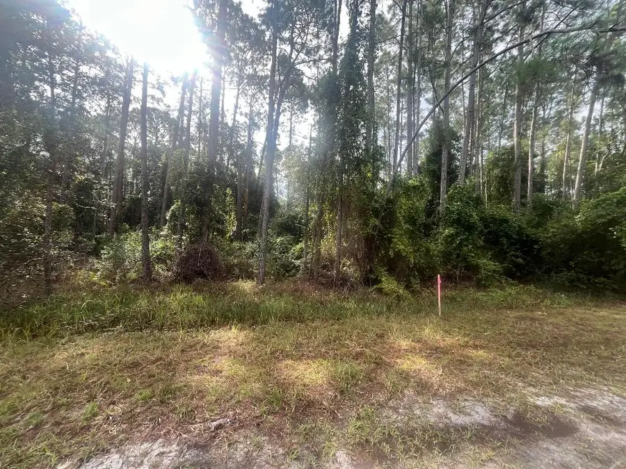 223 SE 2nd Street, Georgetown, FL 32139 - #2