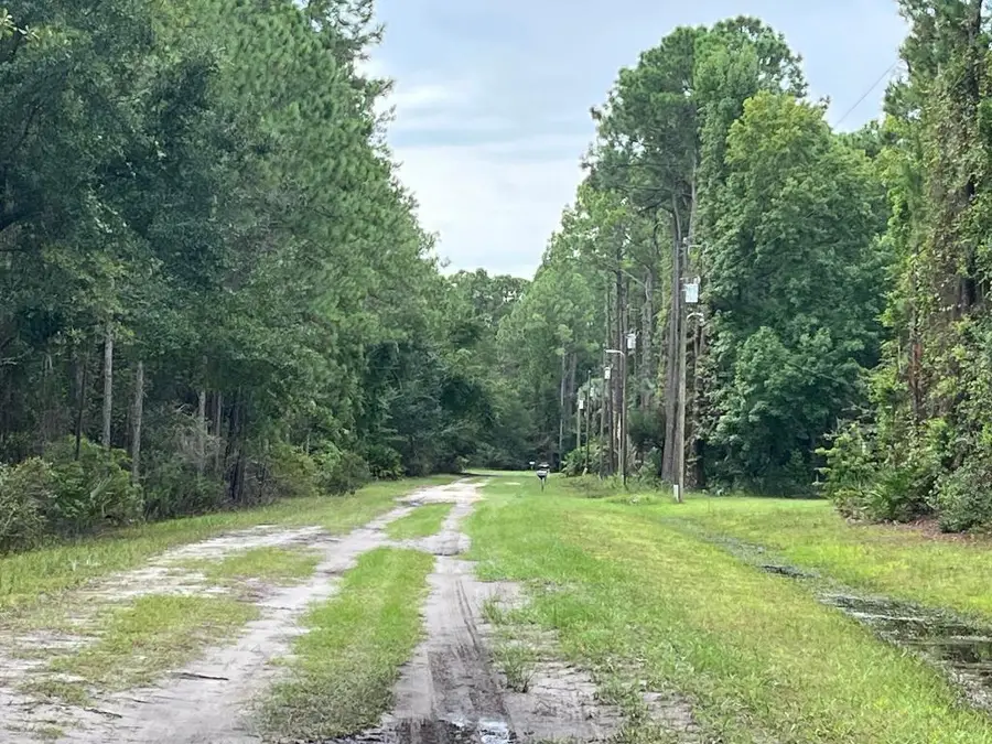 363 S Carolina Street, Hawthorne, FL 32640 - #3