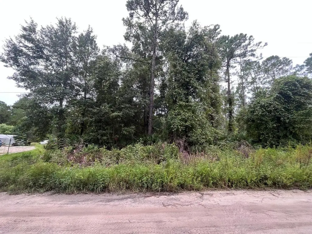 0 Hickory Nut Trail Trail, Satsuma, FL 32189 - #1