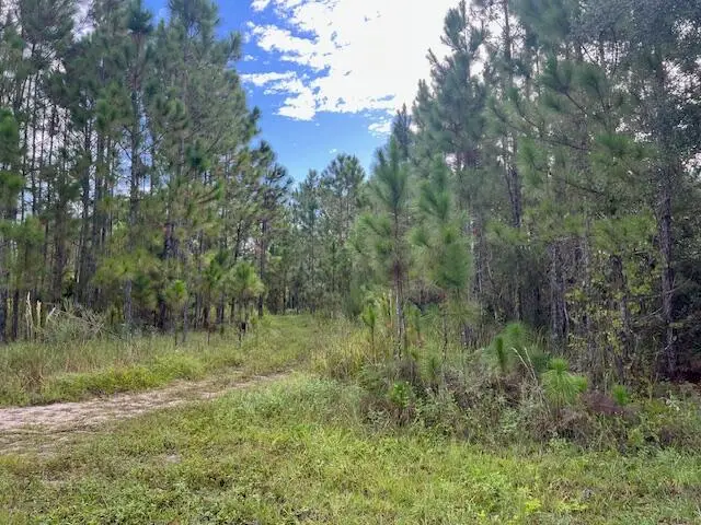 1135 Greenfield Street, Lake Placid, FL 33852 - #2