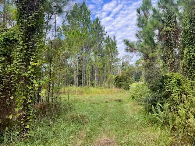 1137 Greenfield Street, Lake Placid, FL 33852 - #2