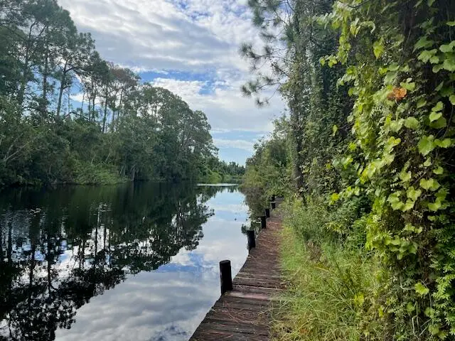 1137 Greenfield Street, Lake Placid, FL 33852 - #3