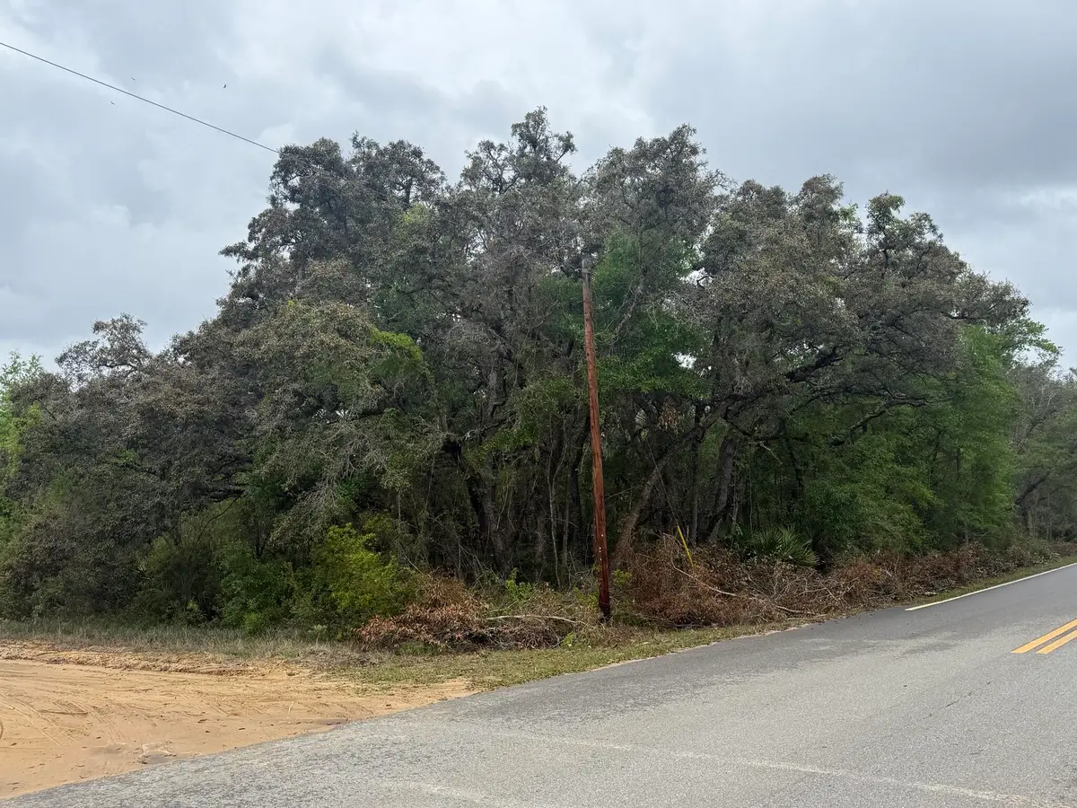 Tbd Theresa Avenue, Interlachen, FL 32148 - #1