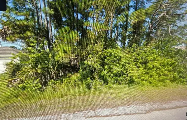 784 Halton Avenue Sw, Palm Bay, FL 32908