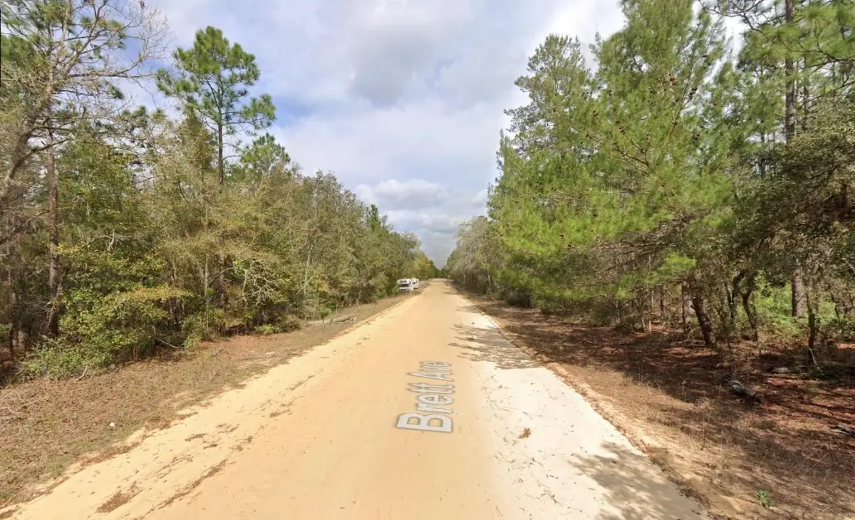 421 Brett Avenue, Interlachen, FL 32148 - #1