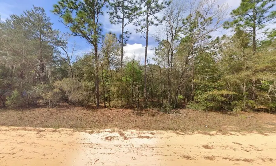 421 Brett Avenue, Interlachen, FL 32148 - #2