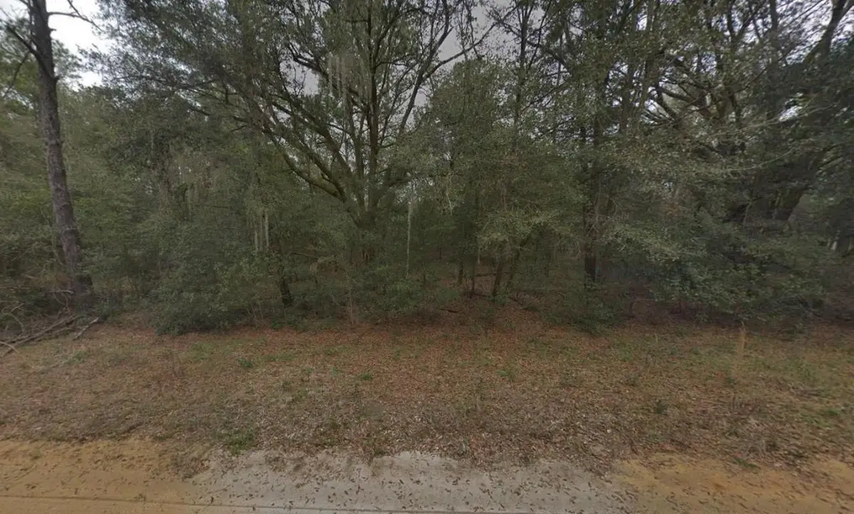 622 Kennedy Avenue, Interlachen, FL 32148 - #1