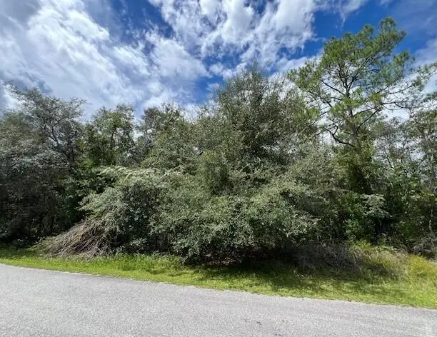 6252 N Cavalier Terrace, Citrus Springs, FL 34433 - #1