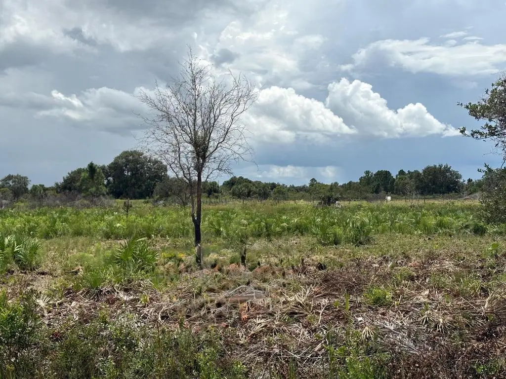 17982 NW 318th Street, Okeechobee, FL 34972 - #1